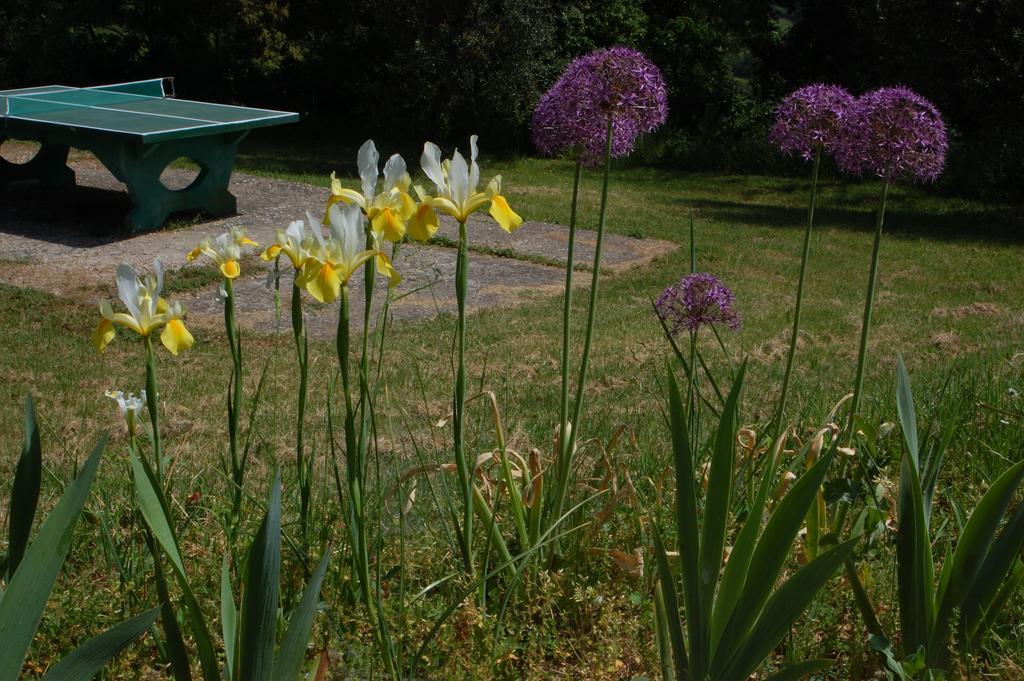 Due Piani Villa Barberino di Val dʼElsa Dış mekan fotoğraf