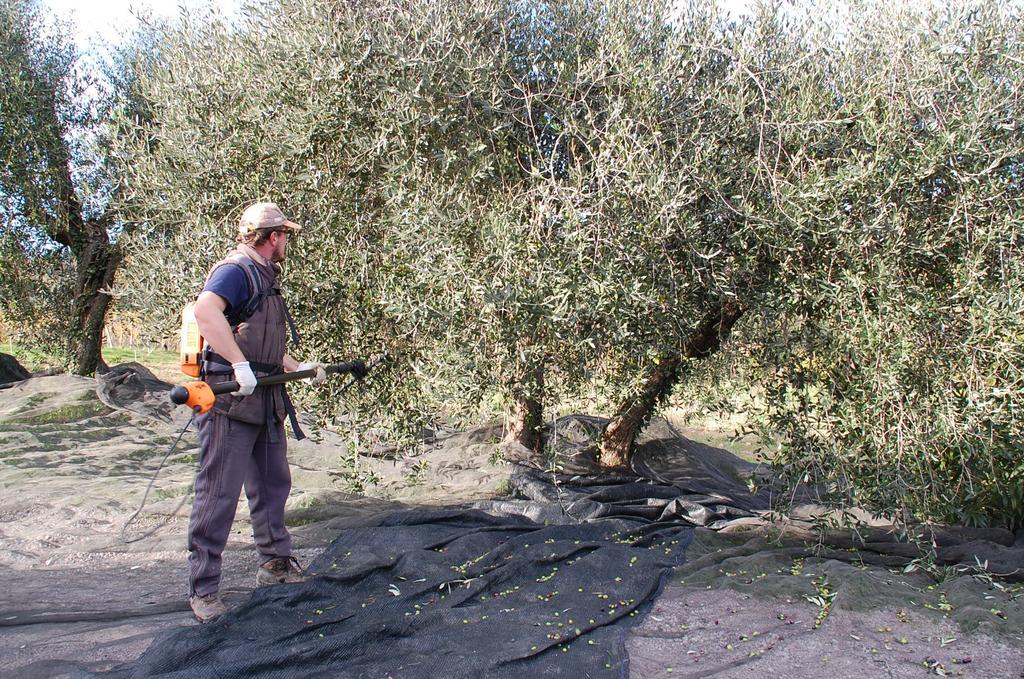 Due Piani Villa Barberino di Val dʼElsa Dış mekan fotoğraf
