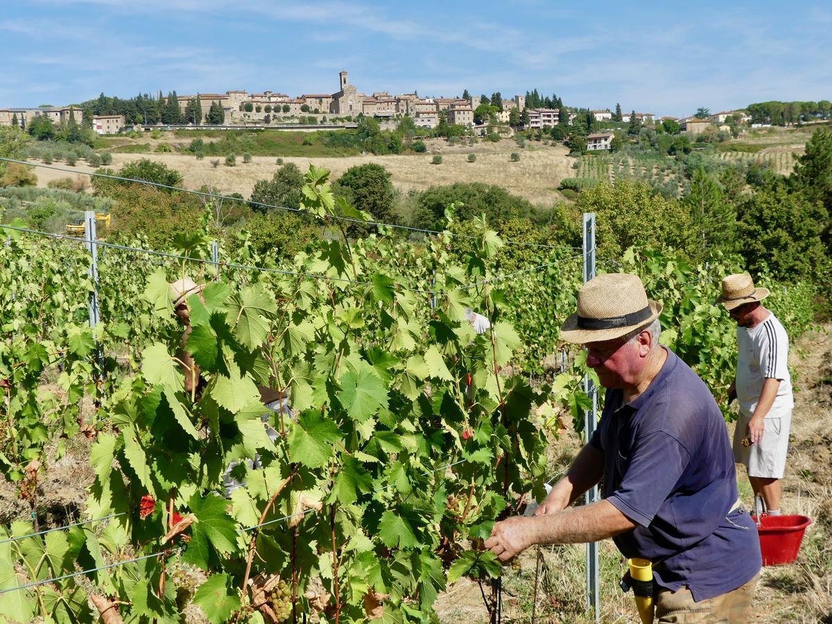 Due Piani Villa Barberino di Val dʼElsa Dış mekan fotoğraf